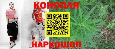 шишки Лесосибирск