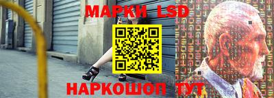 шишки Лесосибирск
