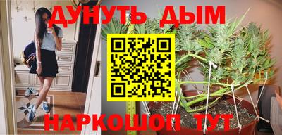 шишки Лесосибирск