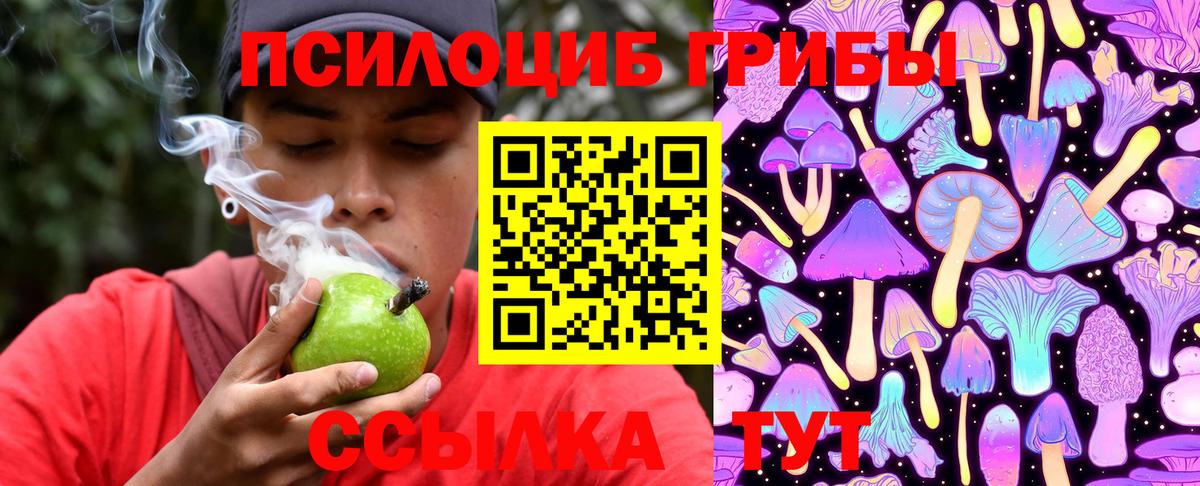 Галлюциногенные грибы мухоморы Сергиев Посад
