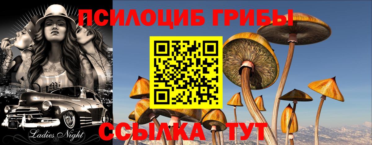 Сергиев Посад  Галлюциногенные грибы GOLDEN TEACHER  Вход с VPN 